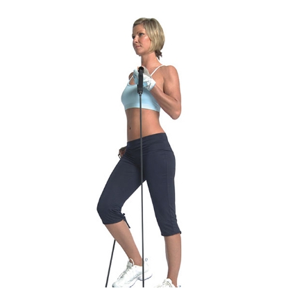 Picture of 1837 DENGE ALETİ      - Voit 